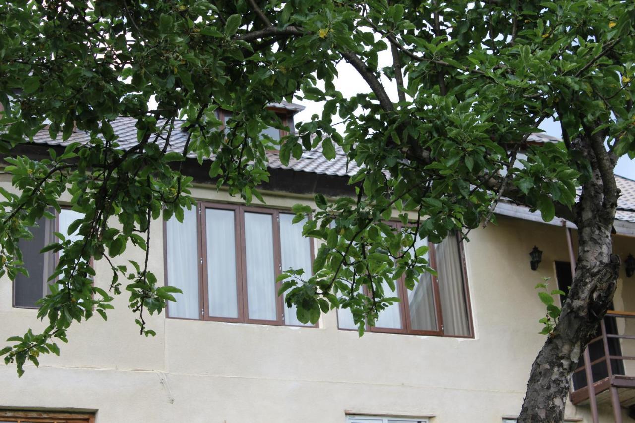 Village House 메스티아 외부 사진