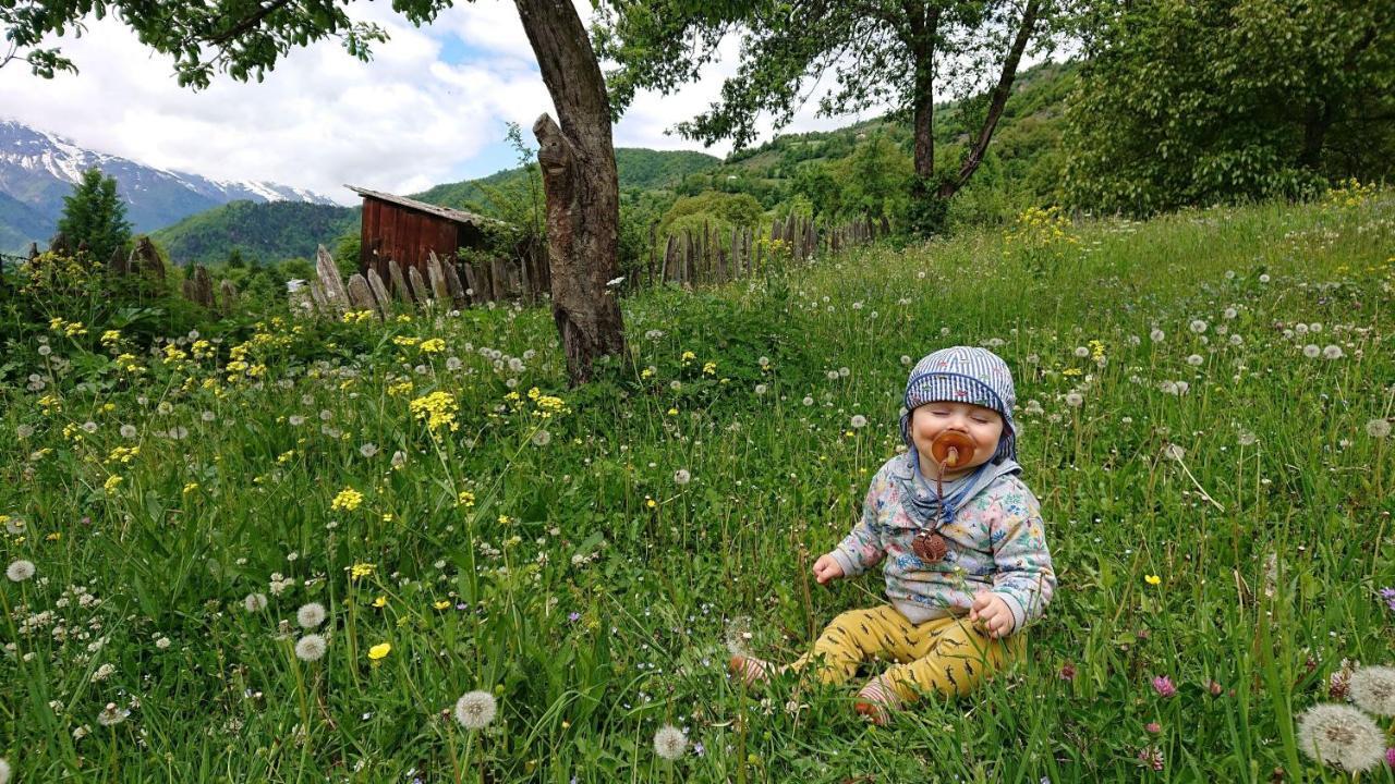 Village House 메스티아 외부 사진